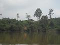 Maleisie (339)